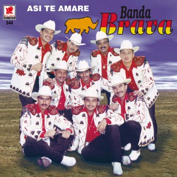 Banda Brava Y Yo Que Llegue a Decir