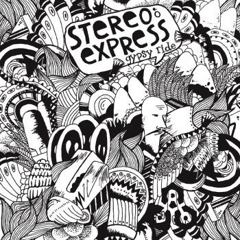 Stereo Express Catching The Swing