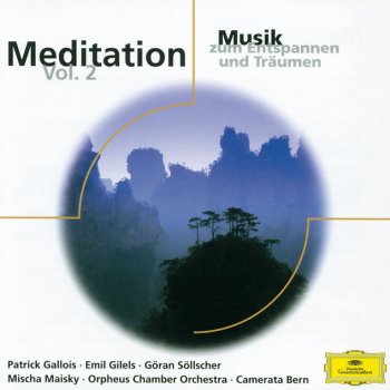 Gioachino Rossini, Camerata Bern & Thomas Füri Sonata a quattro No.5 in E flat: 2. Andantino