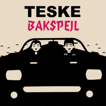 Teske Bakspejl