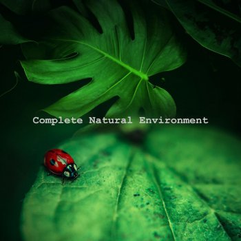 Nature Recordings Migratory Tsunami