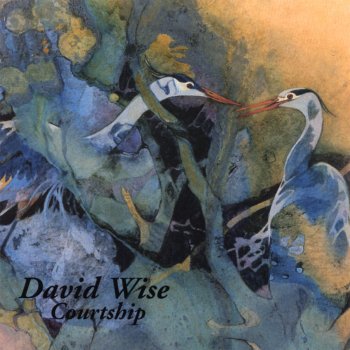 David Wise Why Can't I?