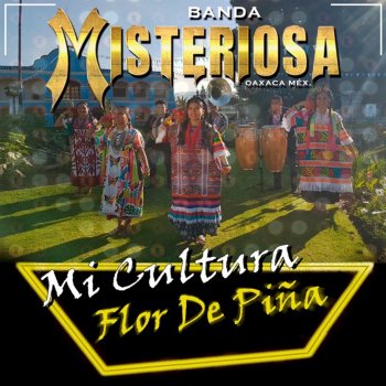 Banda Misteriosa Flor de Piña