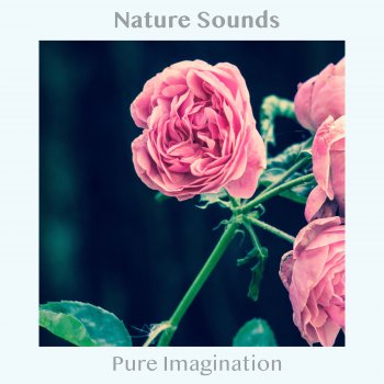 Nature Sounds Drops