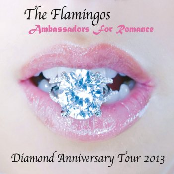 The Flamingos Till