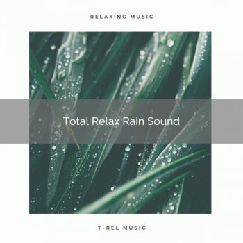 The Sound Of The Rain Perfect Rain Music pt. 2