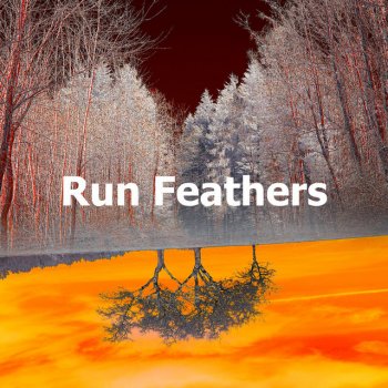 Исполнитель The Sounds of Earth Group, альбом Run Feathers