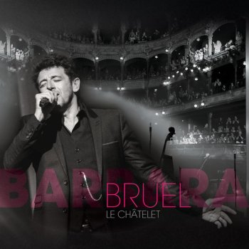 Patrick Bruel Vienne - Live