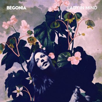 Begonia I Don't Wanna (Love U)