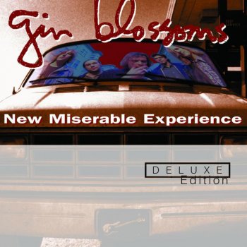 Gin Blossoms Folsom Prison Blues - Live