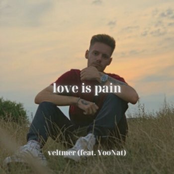 veltmer feat. YooNat Love Is Pain