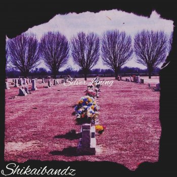 shikaibandz Silver lining