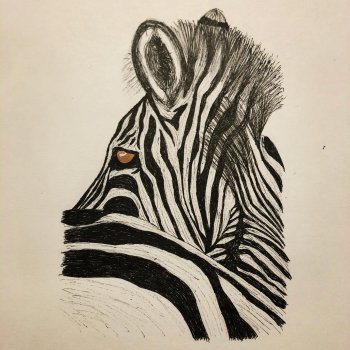 Keith Porteous Zebra