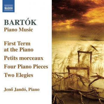 Jeno Jandó The First Term At the Piano, BB 66*: No. 6. Moderato