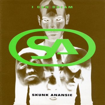 Skunk Anansie Aesthetic Anarchist