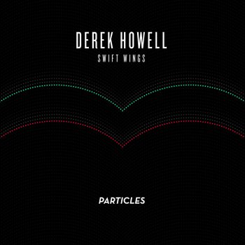Derek Howell On Swift Wings