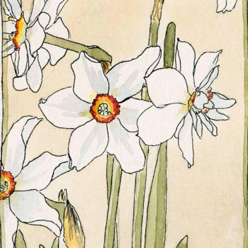 Исполнитель Epsilon, альбом How Did it End? (Piano Version)