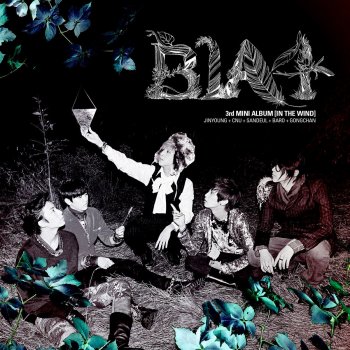 B1A4 What Do You Fancy?