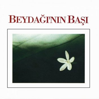 Ruhi Su Bastım İğdenin Dalına