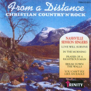 Nashville Session Singers You Can't Fly Like an Eagle
