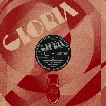 Gloria The White Lily