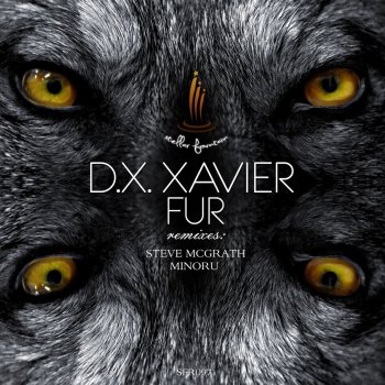 D.X.Xavier Fur - Original Mix