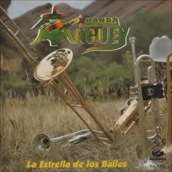 Banda Maguey Ay Como Te Extraño