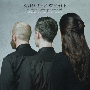 Said The Whale Confidence - Acoustic