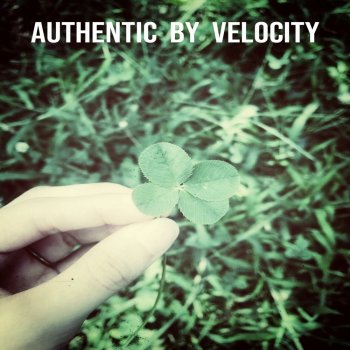 Velocity Authentic