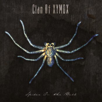 Clan of Xymox Into the Unknown