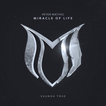 Peter Miethig Miracle of Life