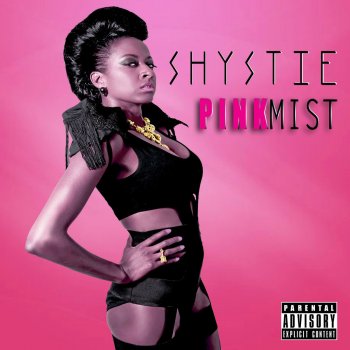 Shystie Feel it (radio edit )