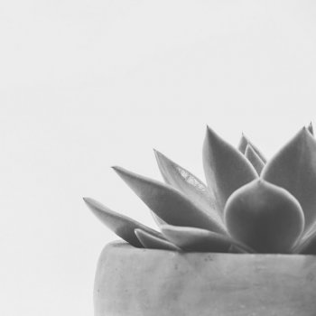 Sleep Music Magical Backdrops for Headspace