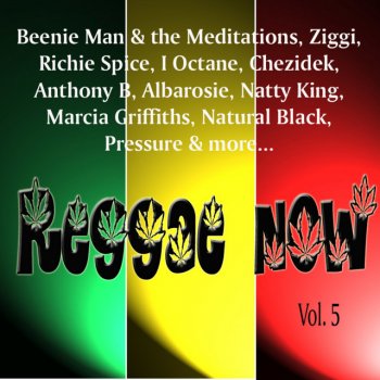 Alborosie Inna the Garison