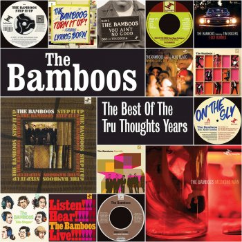 The Bamboos On the Sly (Jonny Faith Remix)