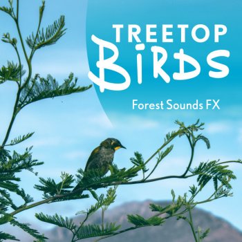 Forest Sounds FX Winter Calling
