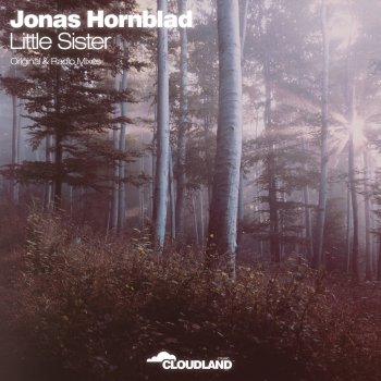 Jonas Hornblad Little Sister