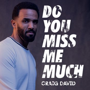 Craig David Do You Miss Me Much