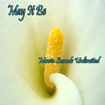 Movie Sounds Unlimited Pirates of the Caribbean: He's a Pirate - From "Pirates of the Caribbean: He's a Pirate"