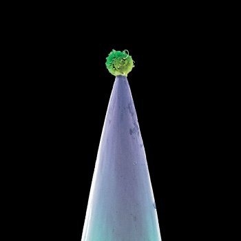 Peter Gabriel feat. Ane Brun Don't Give Up