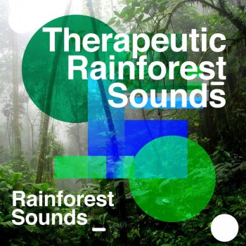 Rainforest Sounds Rain Lake