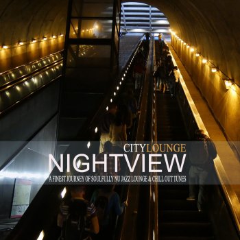 Nightview City Hall - Smooth Downbeat Mix