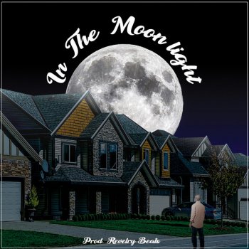 Wesley Rocco In the Moonlight (feat. Revelry Beats)