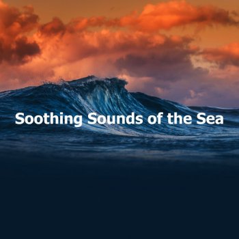 Ocean Sounds Plus Trevally Tour