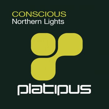 Conscious Northern Lights (Original Mix)
