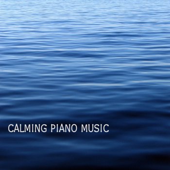 Calming Music Academy Paradise