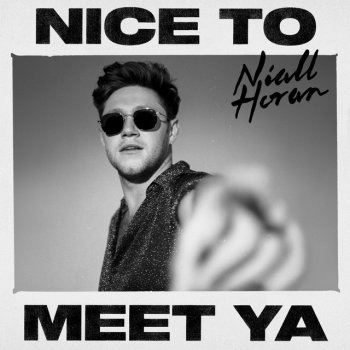 Niall Horan Nice to Meet Ya