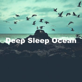 Pacific Ocean Wave Sounds Reality Dugong
