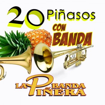 Banda La Piñera Hermoso Cariño