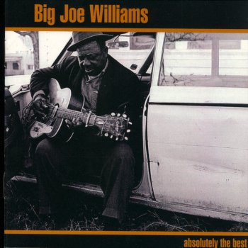 Big Joe Williams Baby Please Don't Go - Track 2